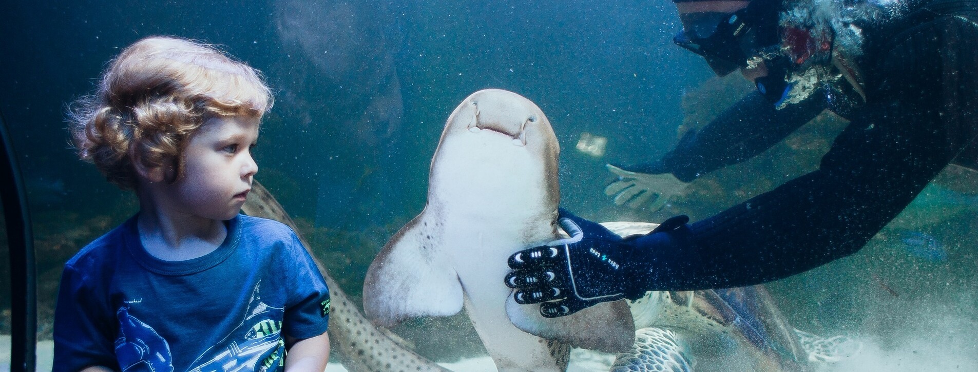 Океанариум для двоих в Киеве - 5 Фото 5 - Океанариум для двоих