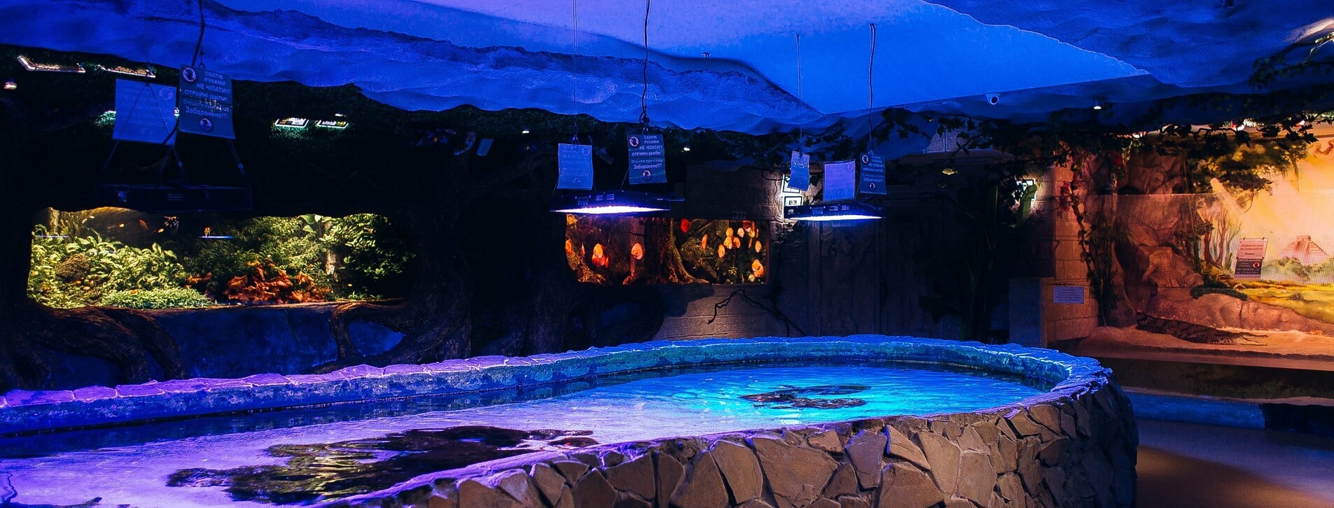 Океанариум для двоих в Киеве - 9 Фото 9 - Океанариум для двоих