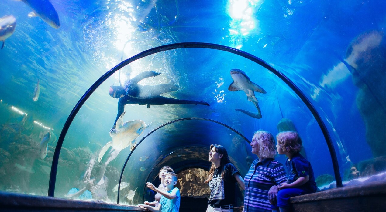 Морська казка - Океанаріум - 2 Фото 2 - Морська казка - Океанаріум