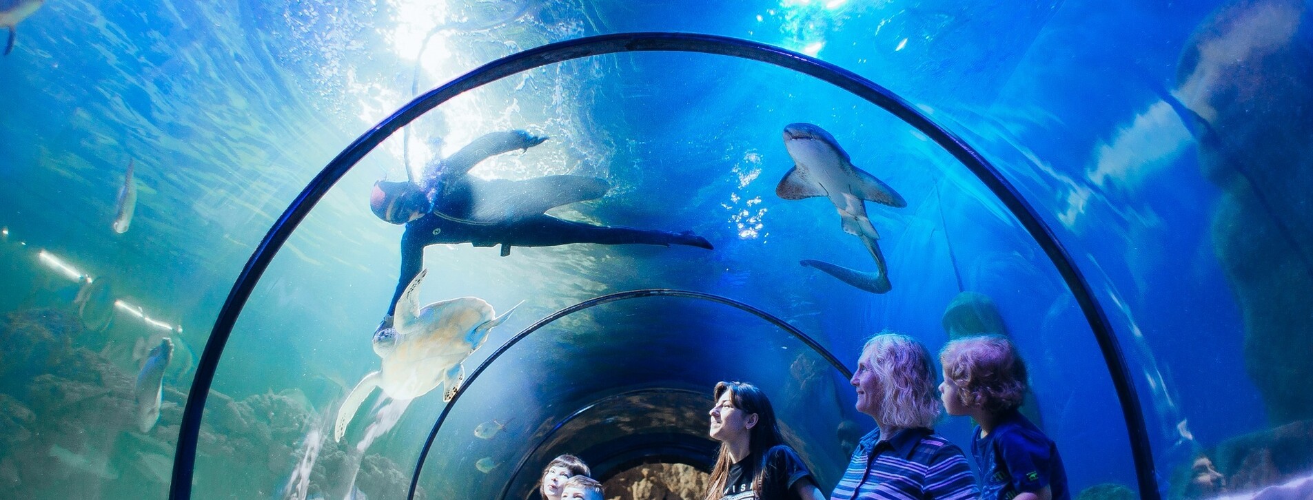 Океанариум для двоих в Киеве - 3 Фото 3 - Океанариум для двоих