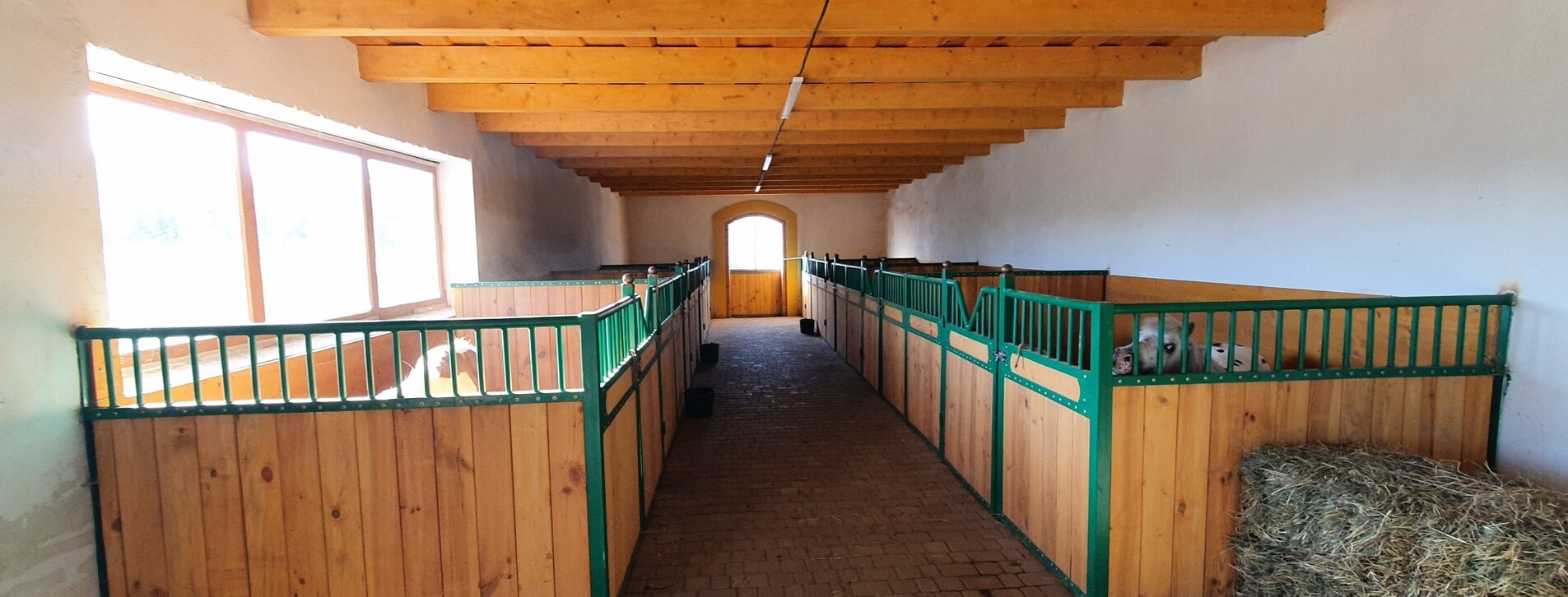 Урок верхової їзди для двох в Івано-Франківську - 5 Фото 5 - Урок верхової їзди для двох