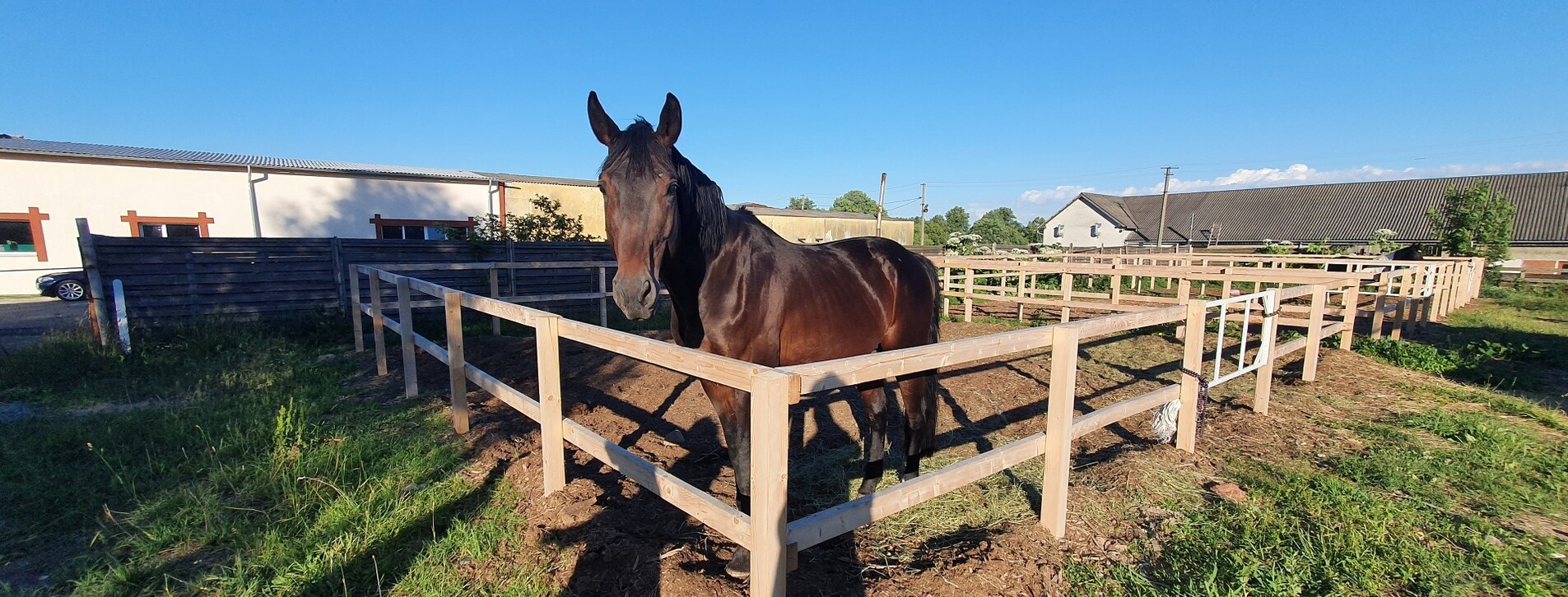 Урок верхової їзди для двох в Івано-Франківську - 6 Фото 6 - Урок верхової їзди для двох