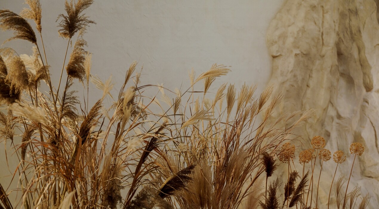 Frontpage - Фотостудия - 7 Фото 7 - Frontpage - Фотостудия