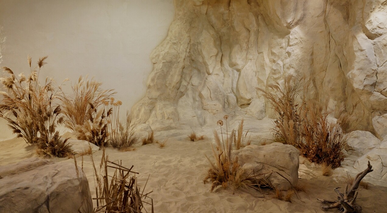 Frontpage - Фотостудия - 8 Фото 8 - Frontpage - Фотостудия