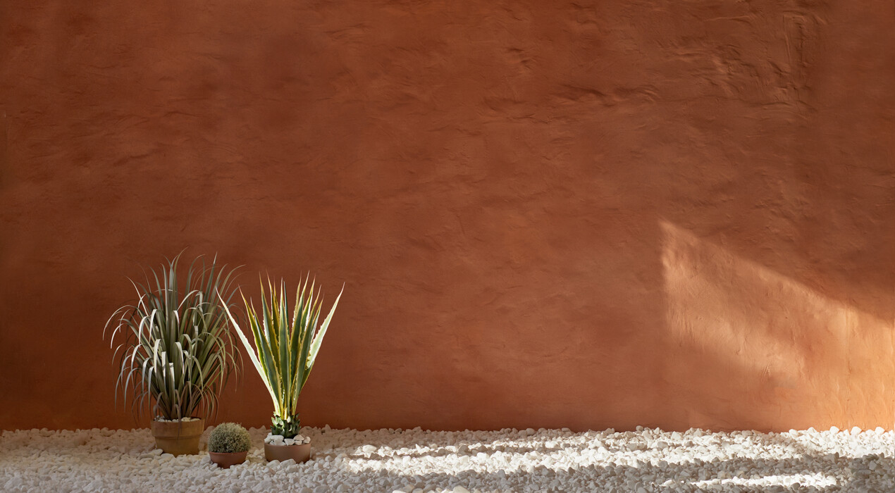 Frontpage - Фотостудія - 5 Фото 5 - Frontpage - Фотостудія