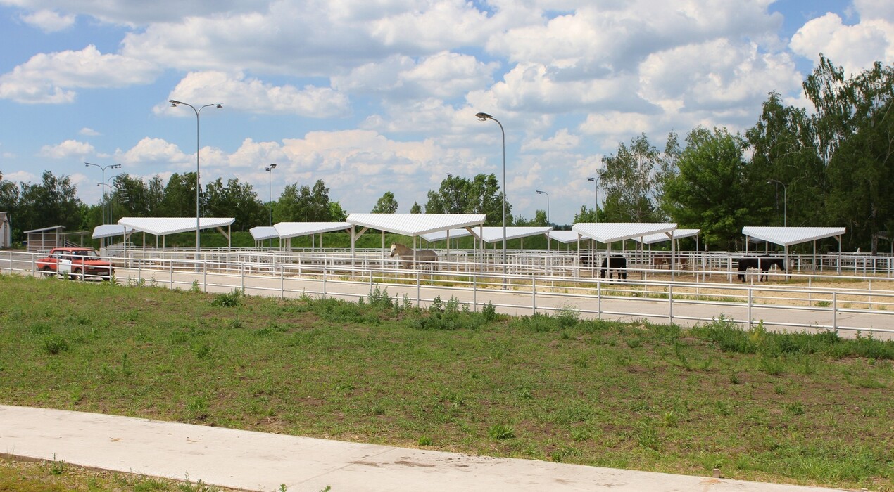 Киевская Русь - Парк - 2 Фото 2 - Киевская Русь - Парк