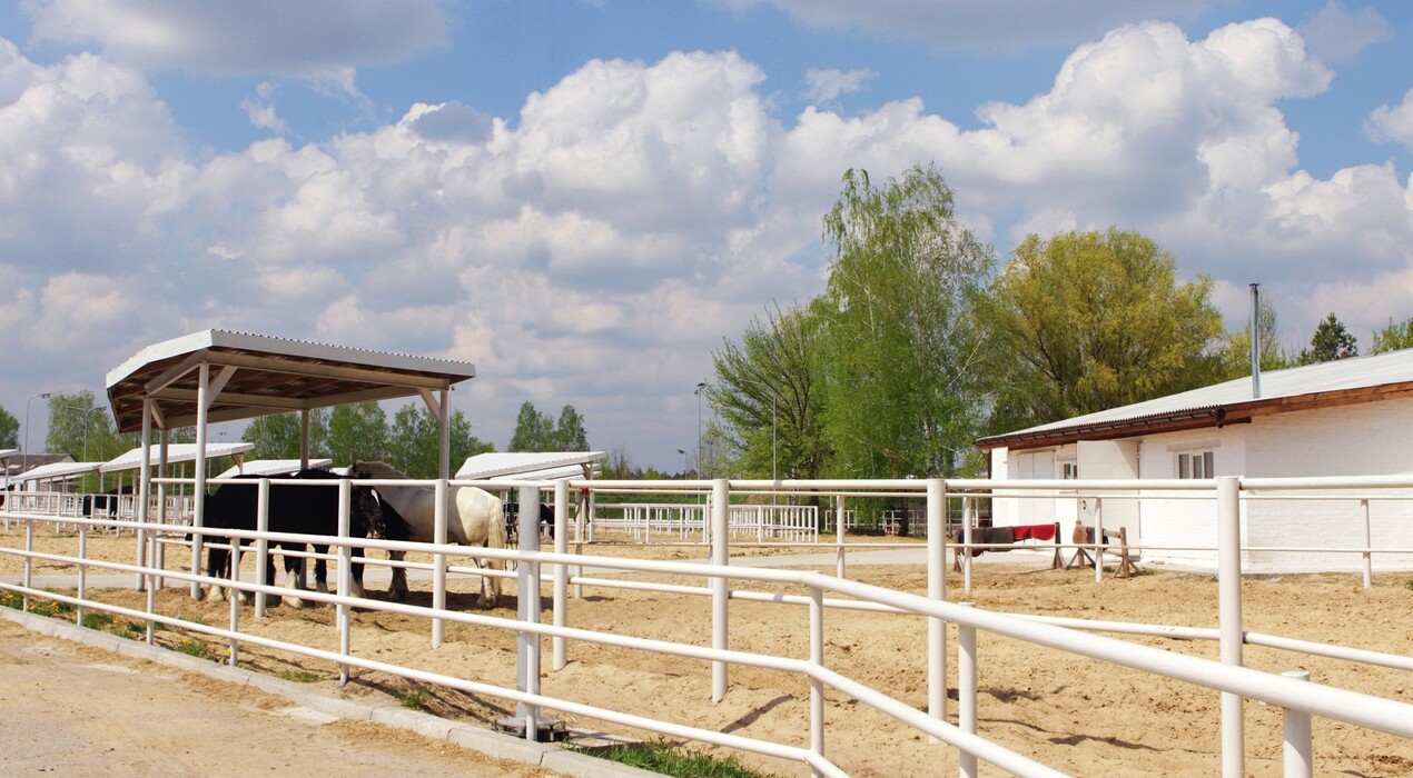 Киевская Русь - Парк - 2 Фото 2 - Киевская Русь - Парк