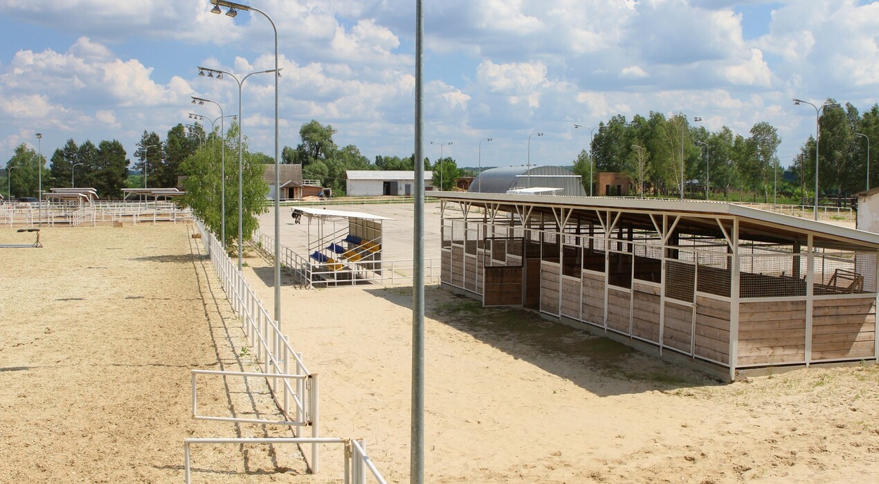 Киевская Русь - Парк - 2 Фото 2 - Киевская Русь - Парк