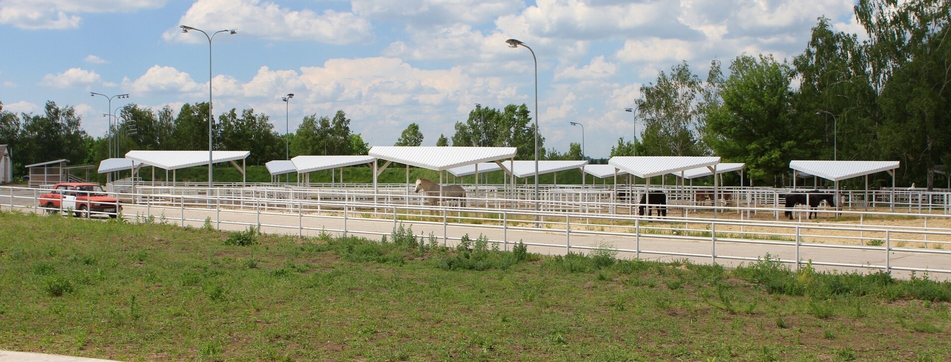 Урок верховой езды в Киеве - 12 Фото 12 - Урок верховой езды
