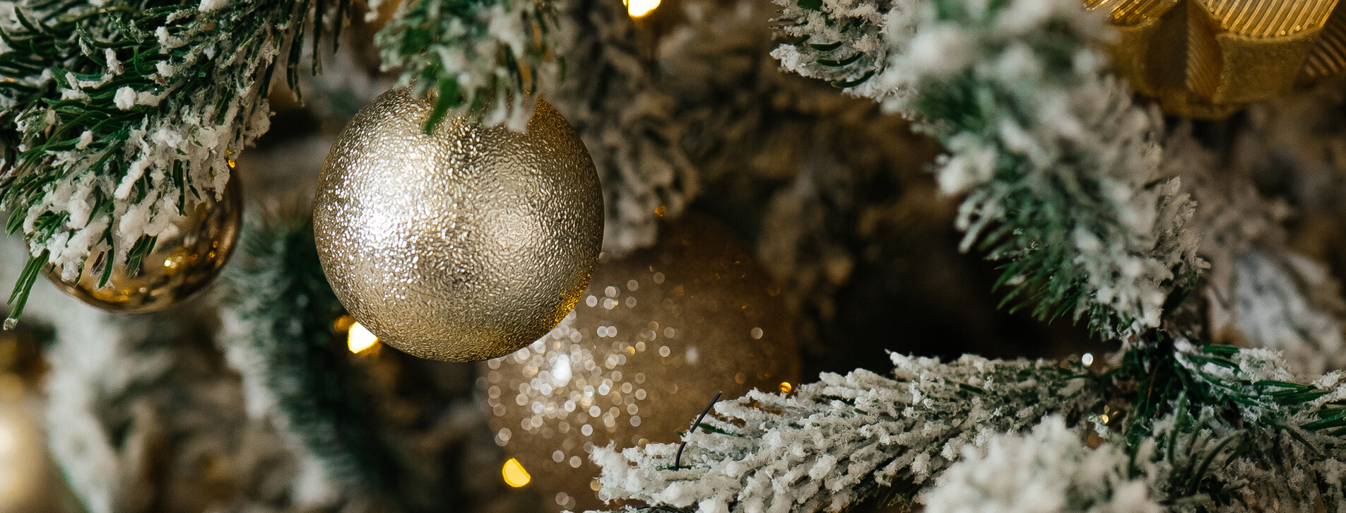 Бізнес-фотосесія у Вінниці - 5 Фото 5 - Бізнес-фотосесія