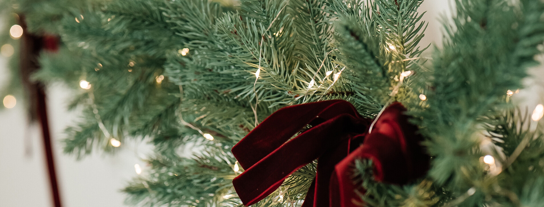 Бізнес-фотосесія у Вінниці - 18 Фото 18 - Бізнес-фотосесія