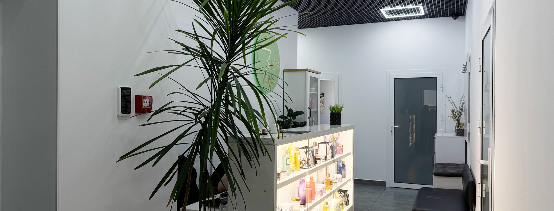 Курс лимфодренажного массажа в Виннице - 3 Фото 3 - Курс лимфодренажного массажа