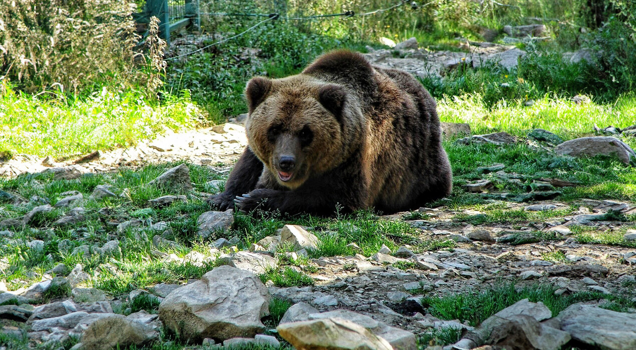 Відвідай - Туроператор - 10 Фото 10 - Відвідай - Туроператор