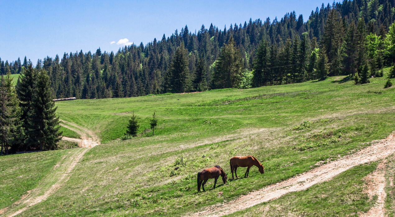 Відвідай - Туроператор - 6 Фото 6 - Відвідай - Туроператор