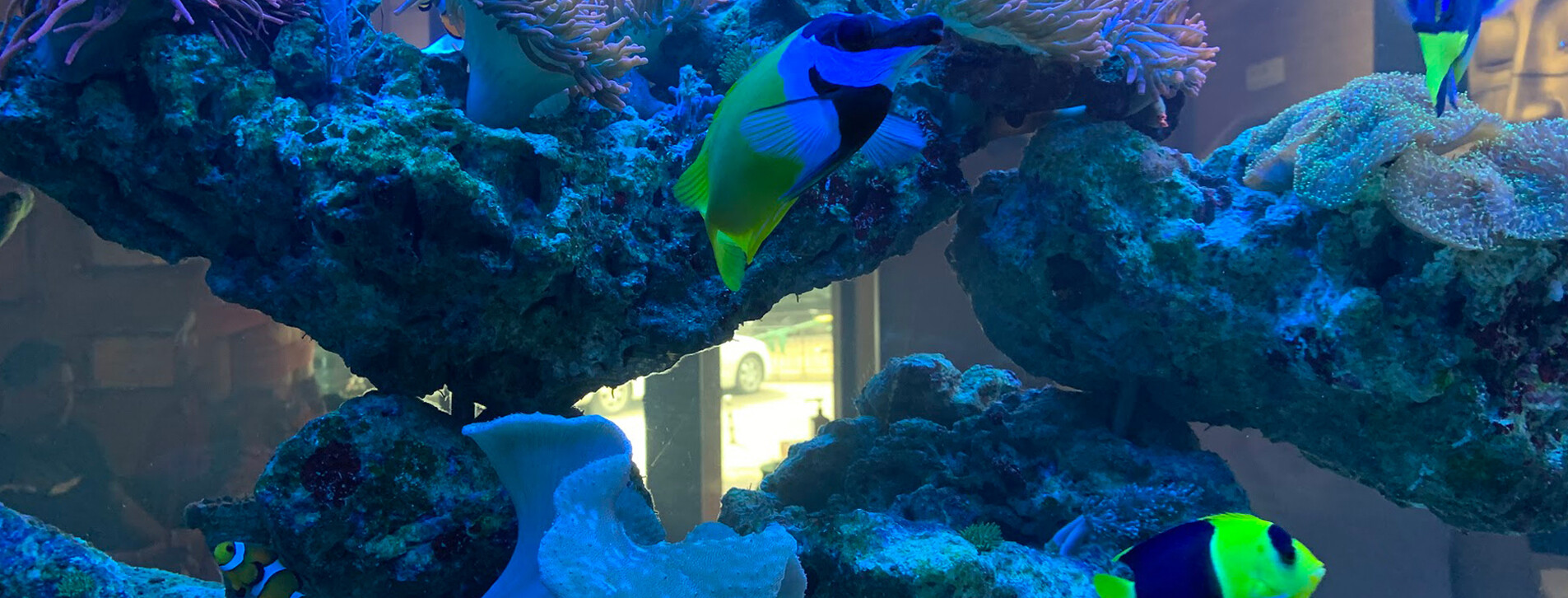 SPA вечер для двоих в Одессе - 19 Фото 19 - SPA вечер для двоих