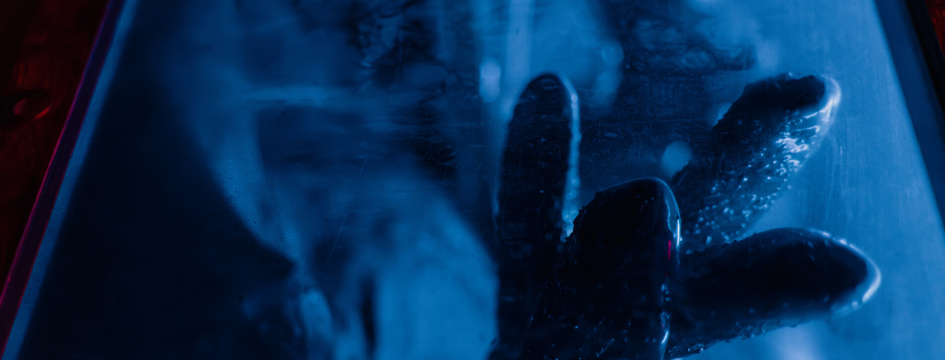 Квест-кімната в Хмельницькому - 8 Фото 8 - Квест-кімната