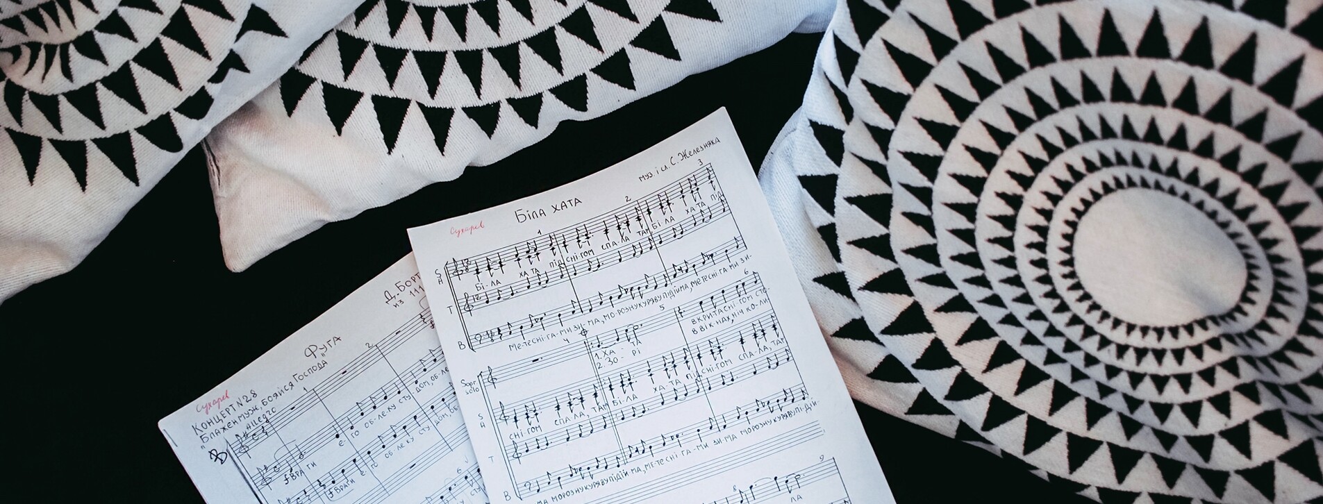 Курс вокала в Днепре - 9 Фото 9 - Курс вокала